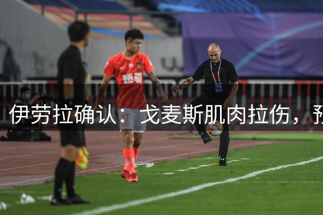 伊劳拉确认：戈麦斯肌肉拉伤，预计休战一个月，将缺席赛季初