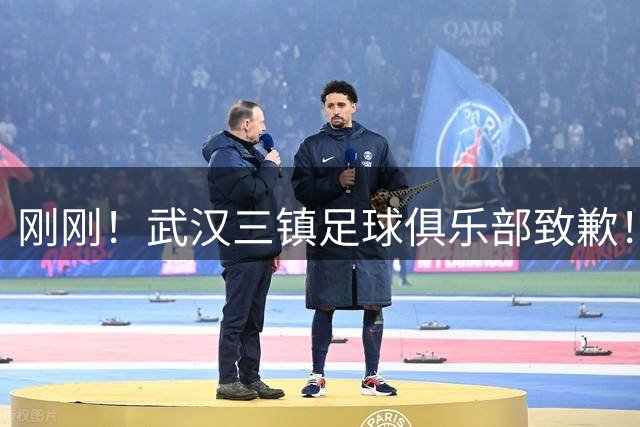 刚刚！武汉三镇足球俱乐部致歉！