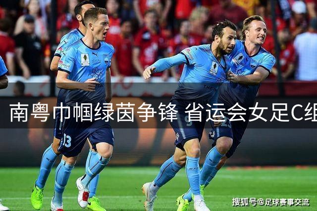 南粤巾帼绿茵争锋 省运会女足C组赛事燃爆信宜四大赛场