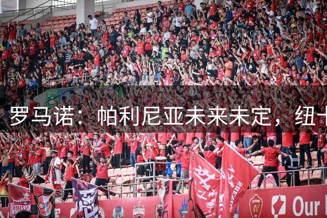 罗马诺：帕利尼亚未来未定，纽卡本菲卡均有意